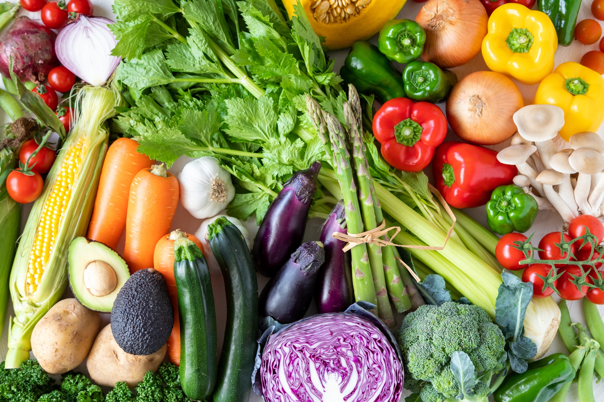 แนะนำผลิตภัณฑ์